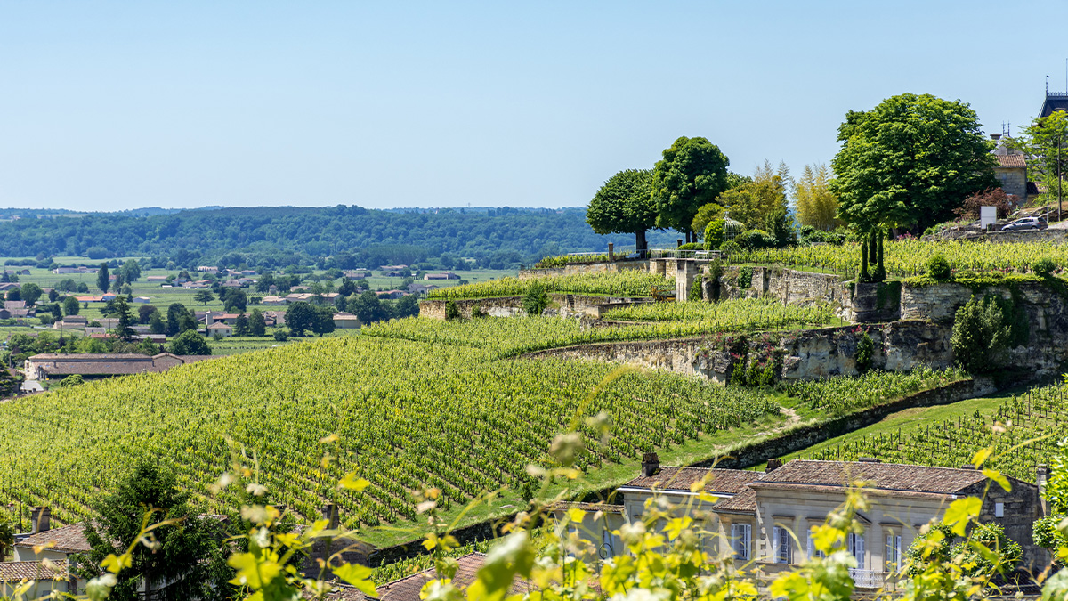 Read more about the article Should you buy 2021 Bordeaux wines?