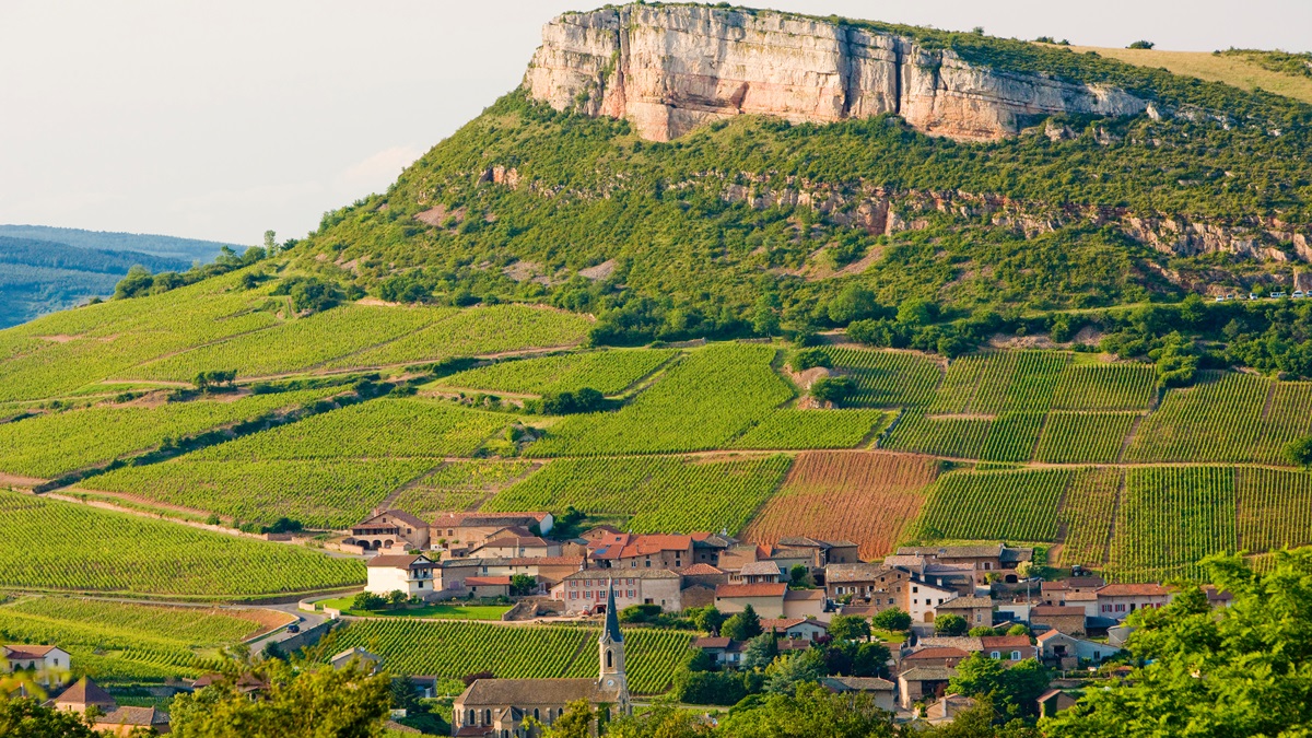 Read more about the article Pouilly-Loché and Pouilly-Vinzelles earn Premier Cru status