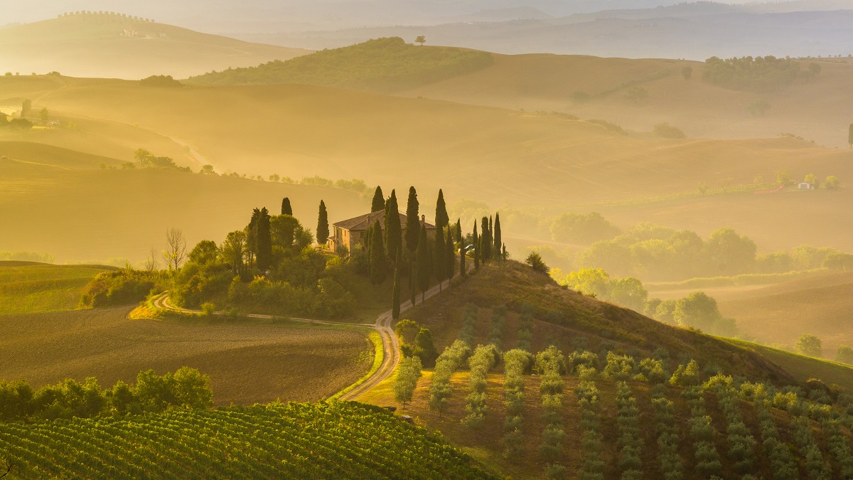 Read more about the article Super Tuscans: Revolutionising Italy’s fine wines
