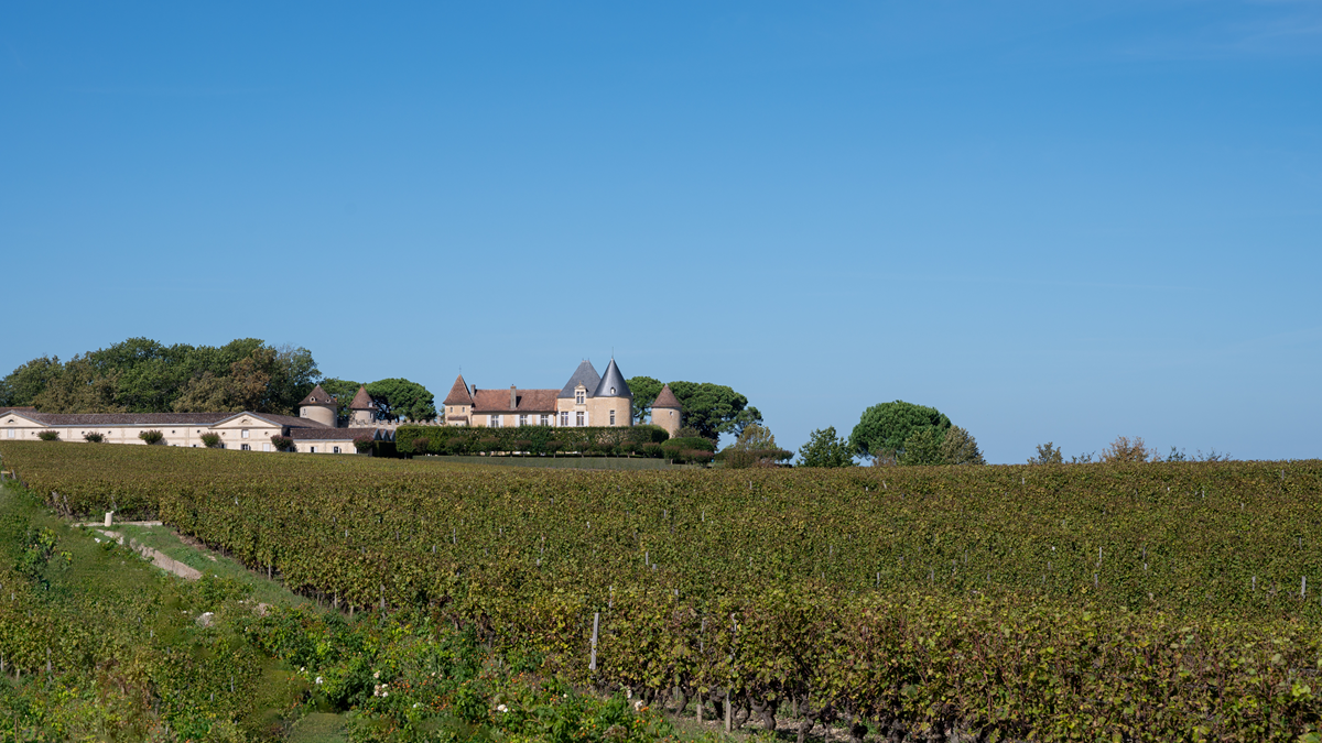 Read more about the article 2024 En Primeur | Vintage analysis and top picks from Sauternes and Barsac